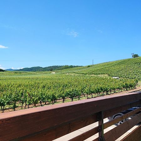 L'Altenberg Bergheim Luaran gambar