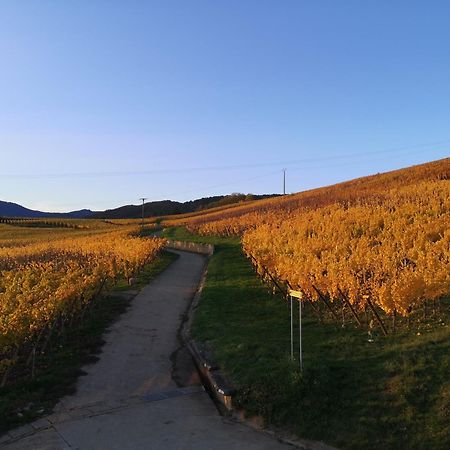 L'Altenberg Bergheim Luaran gambar
