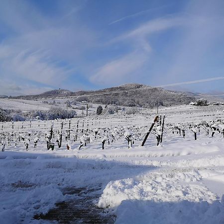 L'Altenberg Bergheim Luaran gambar