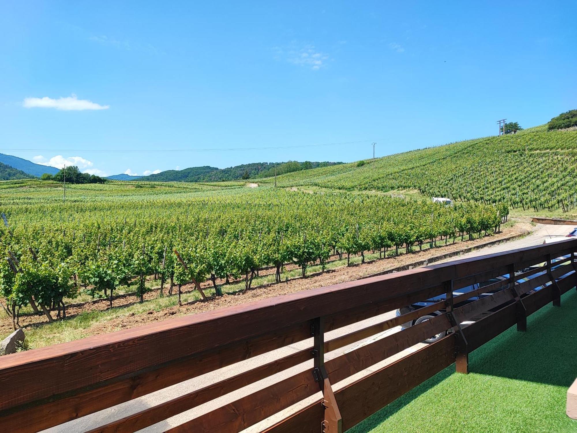L'Altenberg Bergheim Luaran gambar