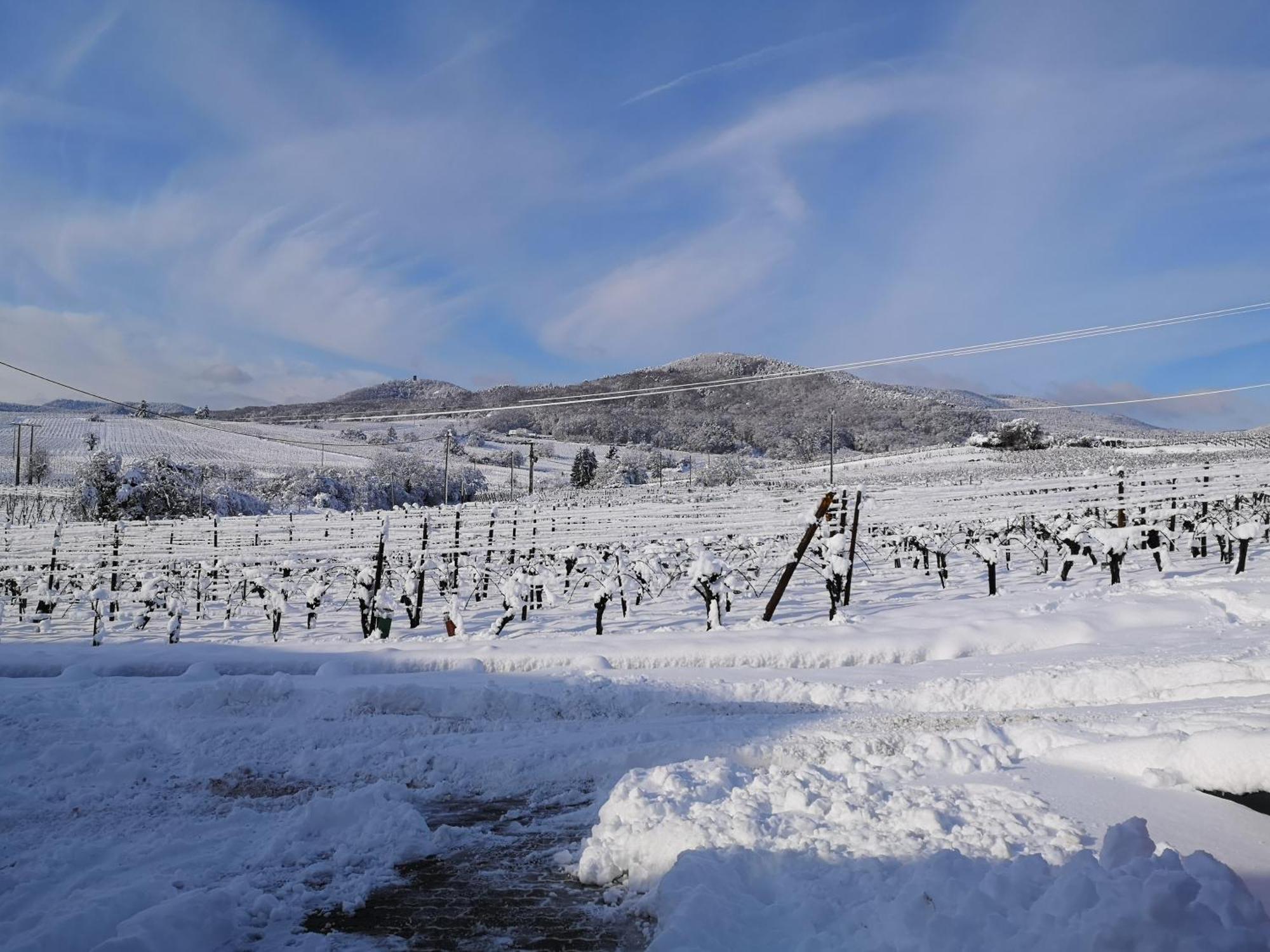 L'Altenberg Bergheim Luaran gambar