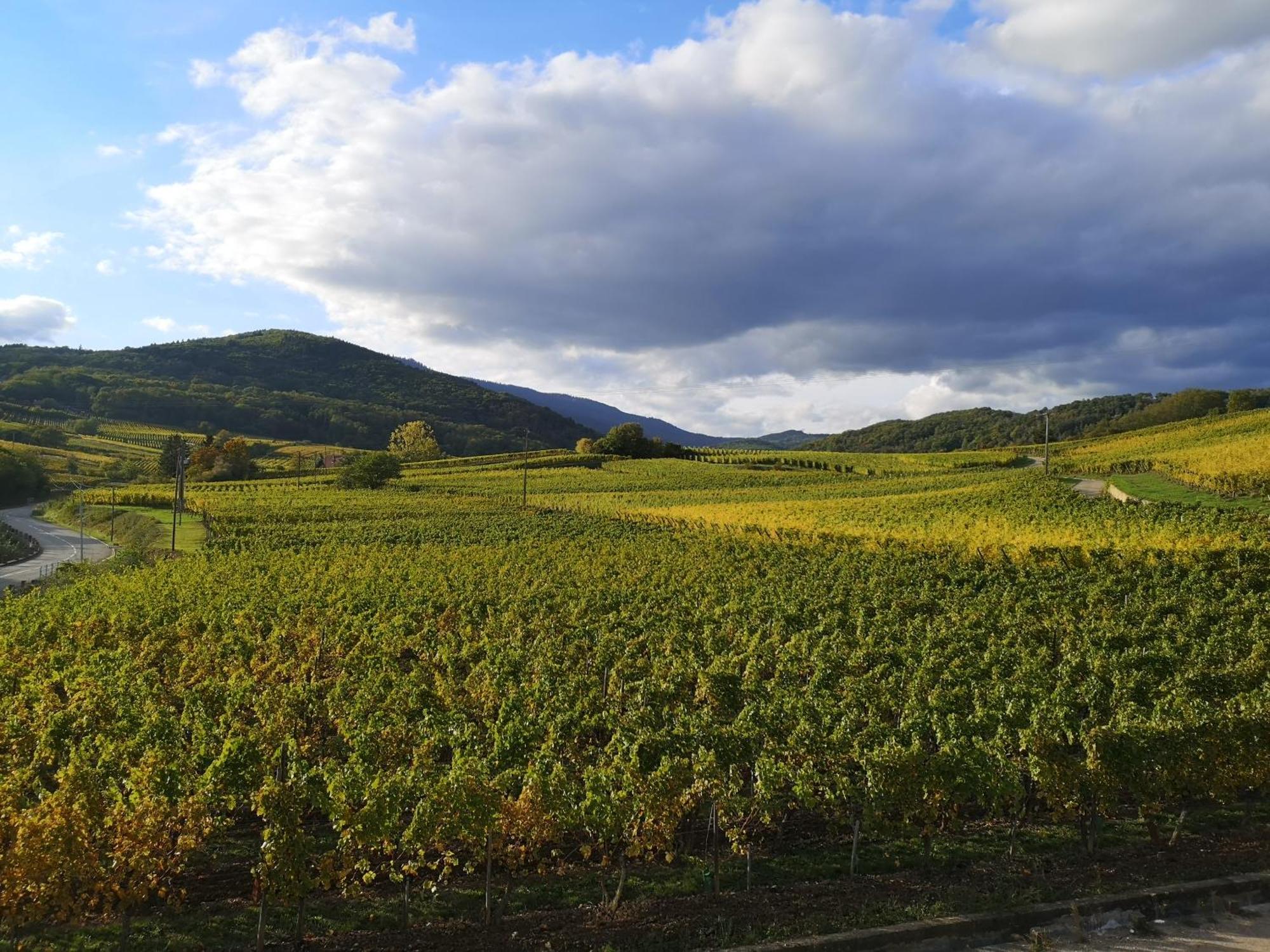 L'Altenberg Bergheim Luaran gambar
